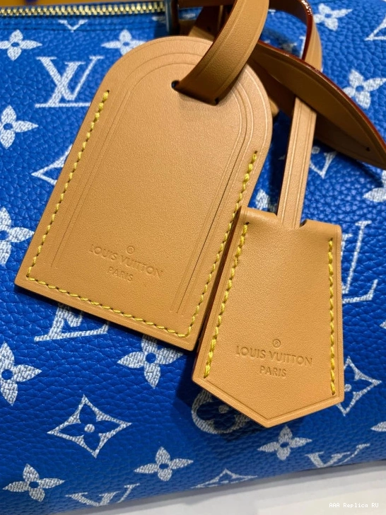 Aaa replica ru Louis Vuitton 25 SPEEDY 0812